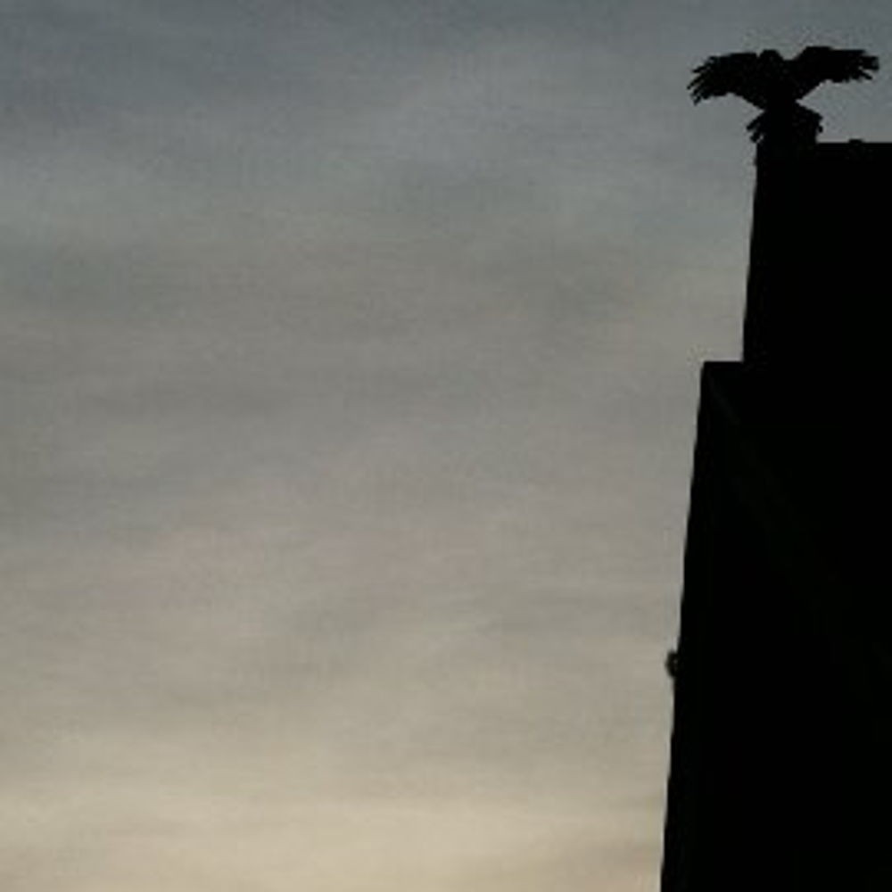 aonec - Free Streaming Tracks